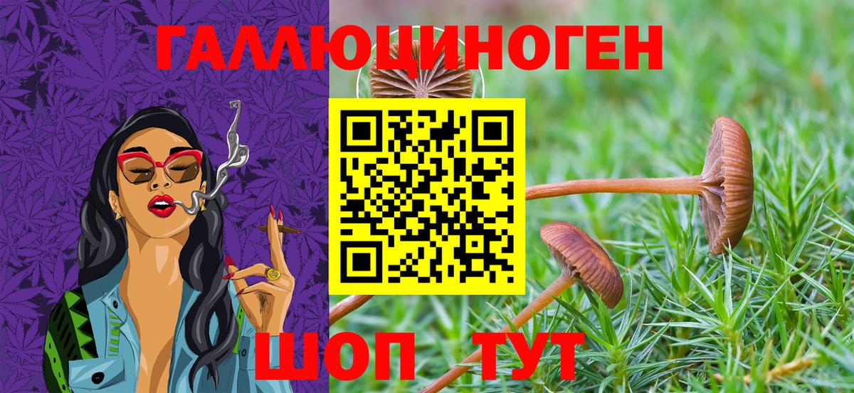 Галлюциногенные грибы мицелий Салехард