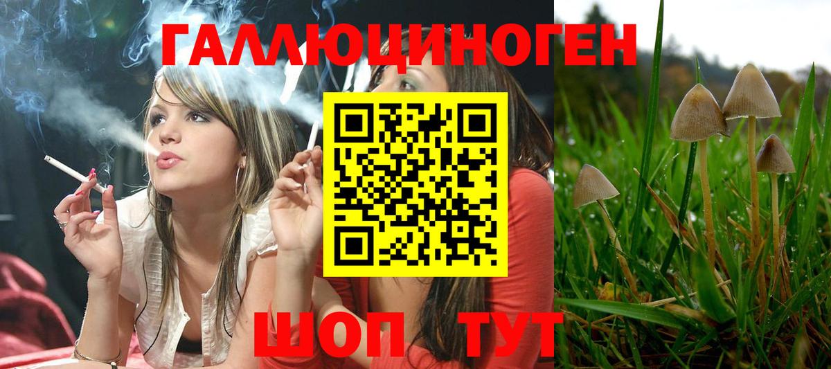 Салехард  Галлюциногенные грибы мухоморы  Вход с VPN 
